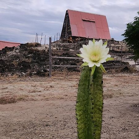 Mana Star Lounge Hotel Villavieja Kültér fotó